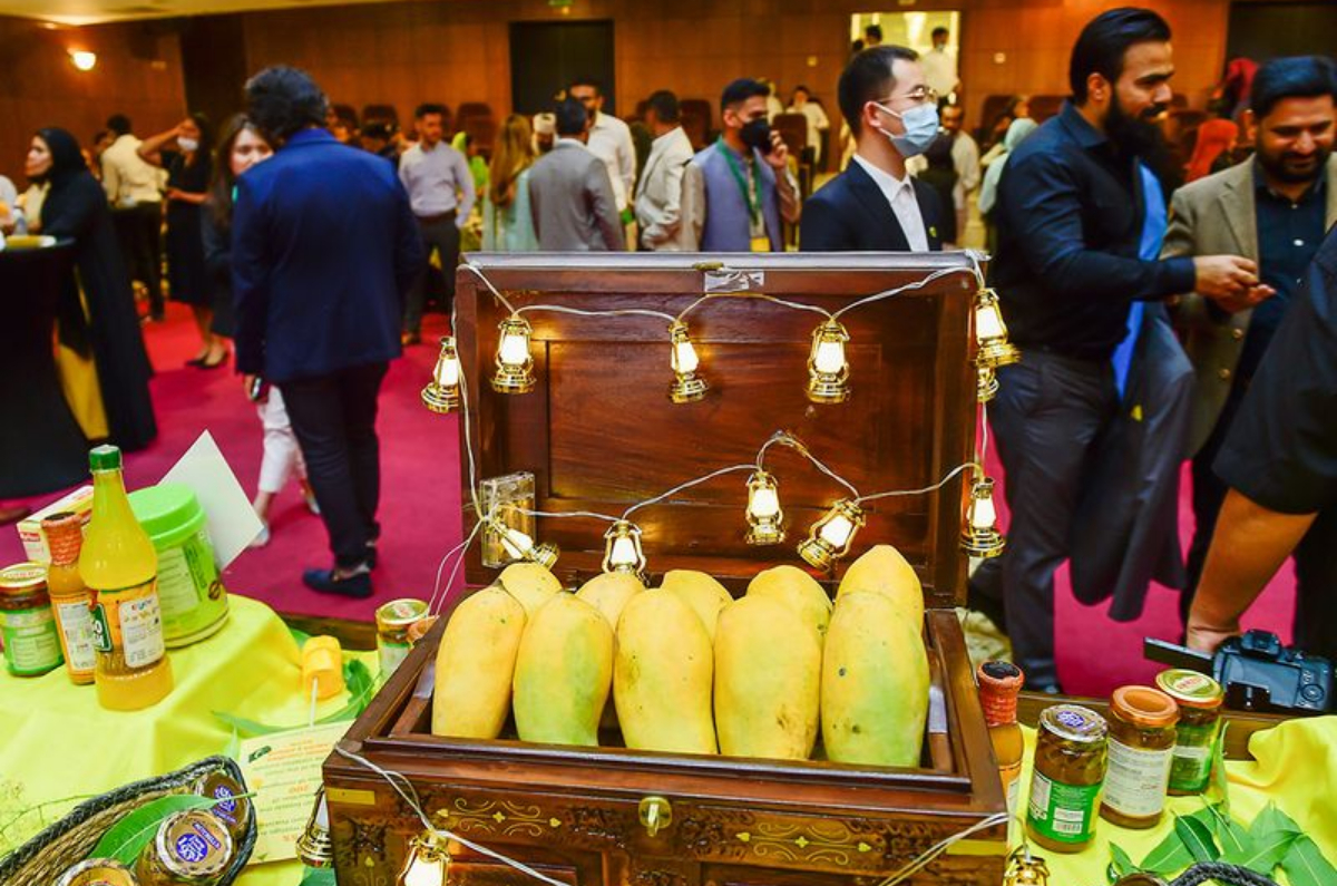 Pakistan Mango Festival