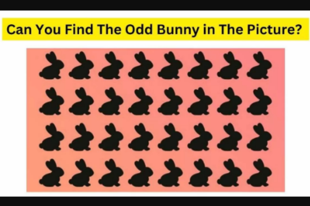 Brain Teaser