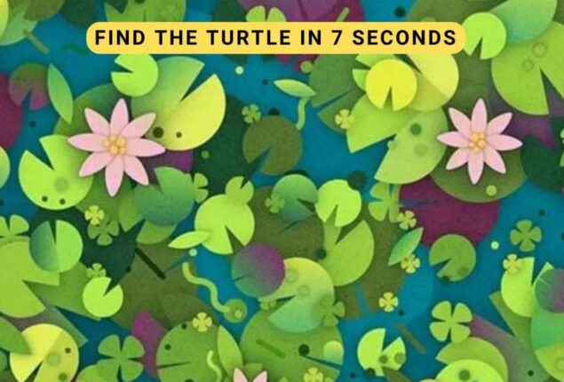 Optical Illusion: You have 7 sec to find turtle hidden in Pond