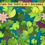 Optical Illusion: You have 7 sec to find turtle hidden in Pond
