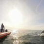 Viral Video: Dolphins pay paddle boaters a surprise visit