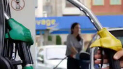Oil sales down
