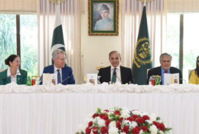 Pakistan, US reaffirm to promote cooperation in energy sector