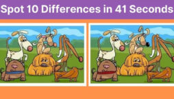 Spot The Difference: Find 10 differences between within 41 sec!