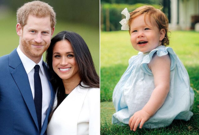 Prince Harry, Meghan shares thoughts on children’s titles