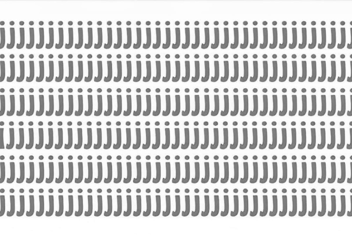 Seek and Find Puzzle