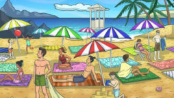 Optical Illusion: Can you spot a dolphin on the beach in 5 seconds