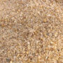 Optical Illusion: Spot a spider in the pebbles in 6 seconds