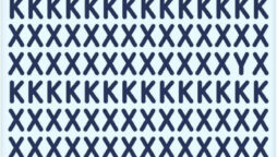 Brain Teaser: Spot the Hidden Letter Among Xs and Ks in picture