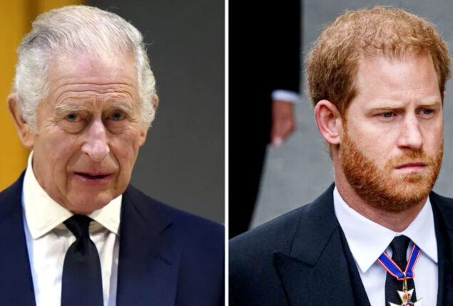 Prince Harry & King Charles’s bond may be rebuilt as result of his recent action