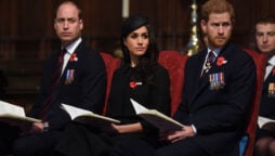 Prince William compares Meghan Markel as “convicted felon”