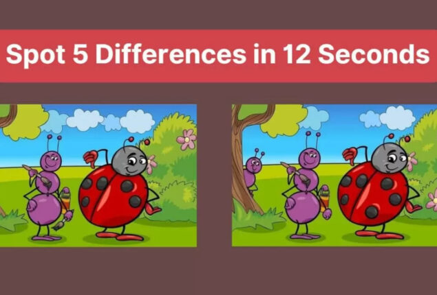 Spot The Difference: Find 5 differences in two pictures within 12 sec