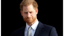 Prince Harry’s main ‘sellable quality’ is only ‘mud slinging’