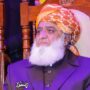 Statements from foreign officials insinuate Imran as ‘foreign agent’: Maulana Fazl