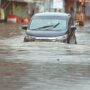 PDMA issues alert amid heavy rains in various Punjab cities