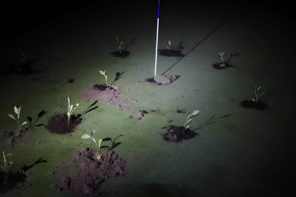 Block Spanish Golf Holes