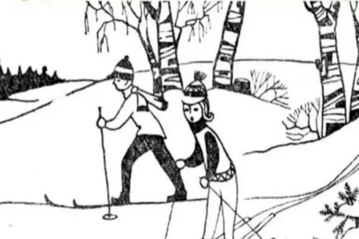 Optical Illusion IQ Test