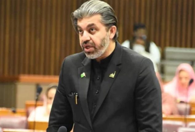 PHC approves Ali Muhammad Khan’s bail