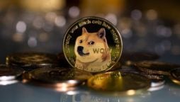 Doge Price Prediction