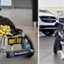Dog Receives Mercedes-Benz Wheelchair