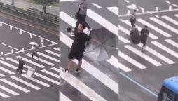 Heartfelt Rain Dance: Man Crosses Road with Joy
