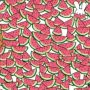 Find the 5 Seedless Watermelons for the Bunnies?