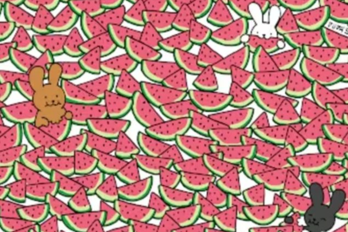 Find the 5 Seedless Watermelons for the Bunnies?