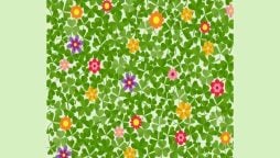 Optical Illusion: Can you spot the four leaf clover hidden in 5 seconds?