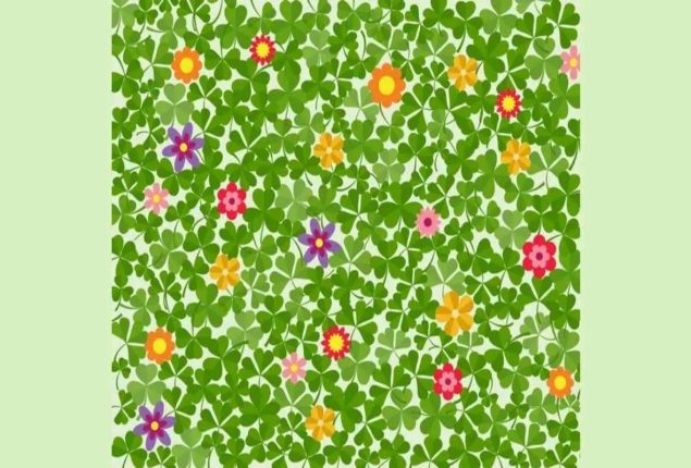 Optical Illusion: Can you spot the four leaf clover hidden in 5 seconds?