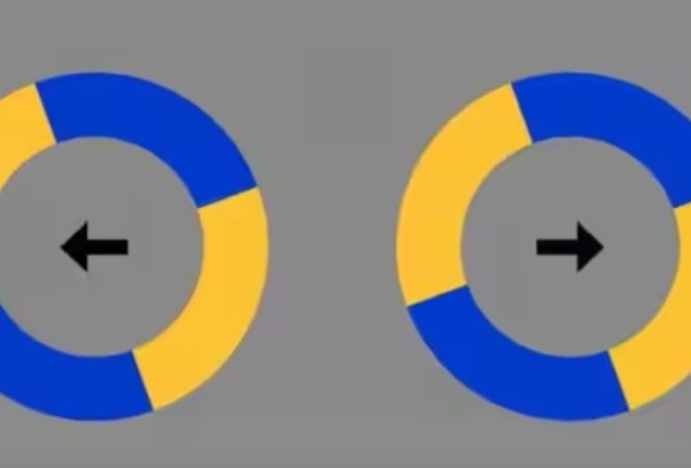 Mind-Bending Optical Illusion: Are the Discs Moving or Stationary?