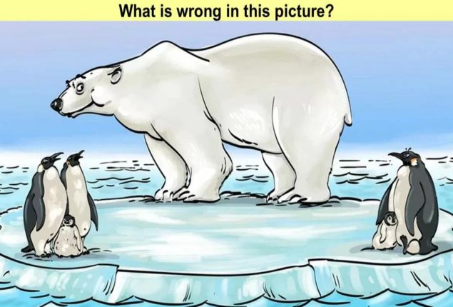  Find the mistake: Spot the mistake in this picture within 5 seconds!