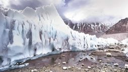 Glacier with White Sheets