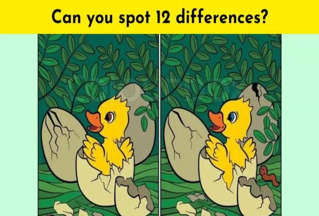 Spot the difference: Spot 12 differences in the duckling picture within 21 seconds