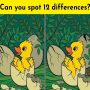 Spot the difference: Spot 12 differences in the duckling picture within 21 seconds
