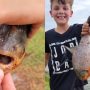 11-Year-Old Catches Tooth Fish in Oklahoma Pond