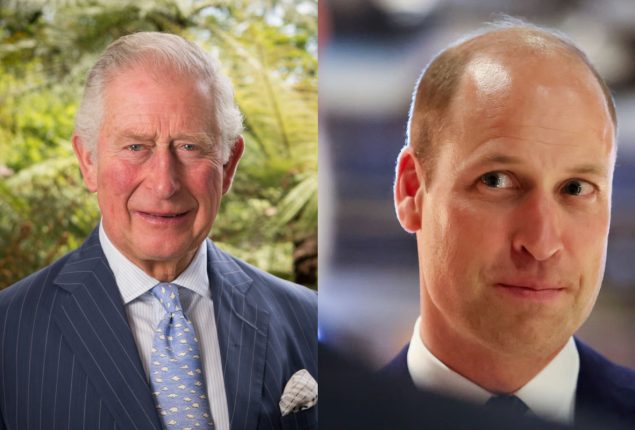 Expert predicts upcoming rivalry between King Charles & son