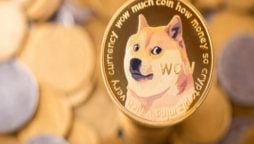 Doge Price Prediction