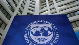 IMF