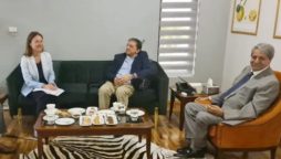 IMF delegation meets with PPP’s economic team