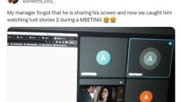 Oops Moment': Lust Stories 2 Surfaces During Online Meet