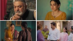 Enigmatic Heroine of Jhok Sarkar Takes Small Screen by Storm
