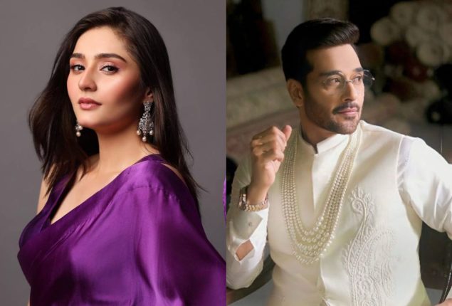 Durefishan and Faysal Quraishi reveals their new project