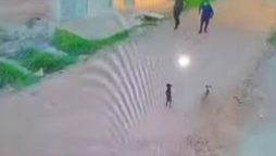 Men scare young puppies, they flee and return with large dog