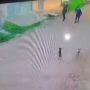 Men scare young puppies, they flee and return with large dog