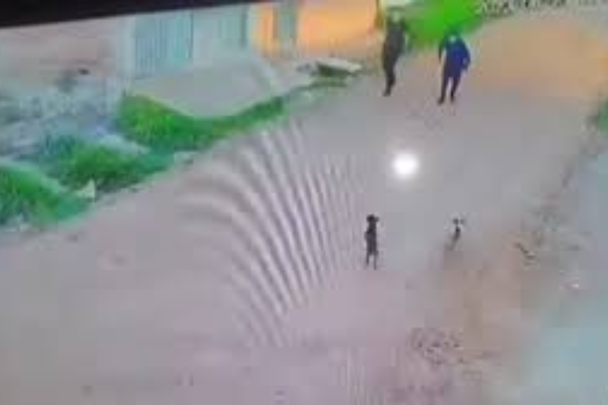 Men scare young puppies, they flee and return with large dog