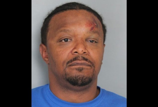 Strange thing happened: Man bites a police dog