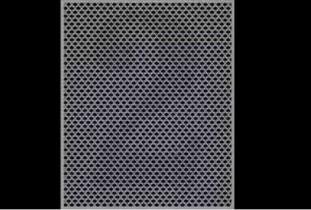 Challenging Twitter Optical Illusion: Can You Spot the Hidden Number?