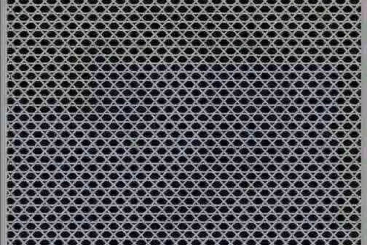 Optical illusion challenges viewers to find the hidden number