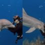 Heartwarming Video of Dolphin Hugging Woman Melts the Internet