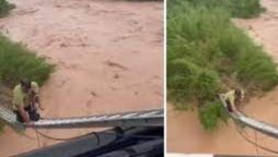 Man’s heroic rescue of dog from raging waters goes viral